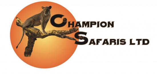 champion-logo-4.jpg