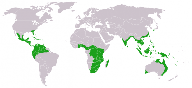 Cycads world distribution